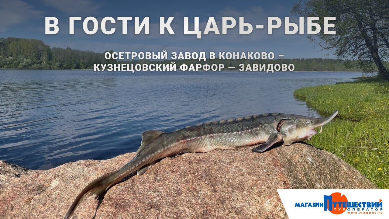 Завидово - Конаково смотреть онлайн