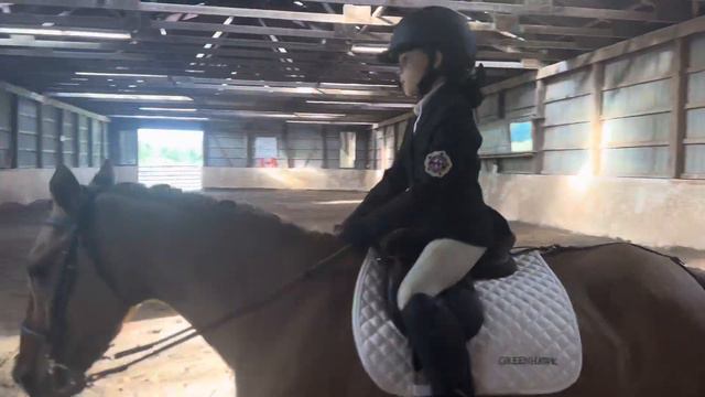 Briar Callon. Hamilton Hunt Pony Club. Starter Test 1 смотреть онлайн