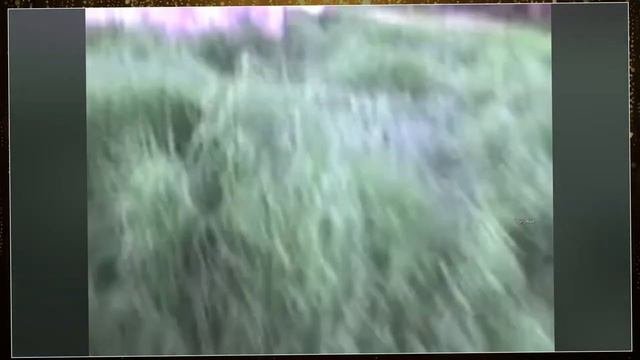 Страшные Видео, которые невозможно объяснить/ страшные видео из интернета
