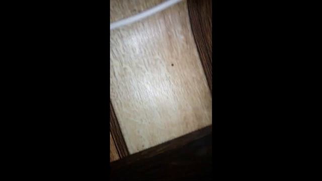 куда можно спрятать под от мамки смотреть онлайн