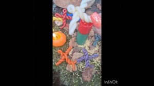 1000023654.mp4
