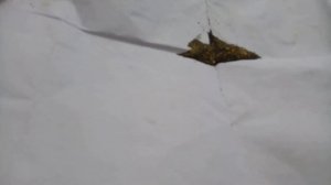 Как добыть золото. (Борта ручьёв - III)