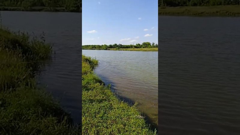 вечер пруд рыбалка