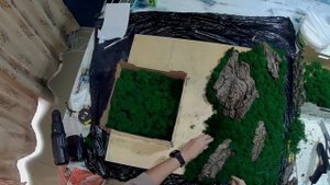 Живая картина из мха (с корой и древесными грибами)