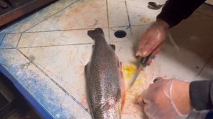 Цвет мяса привезённой форели