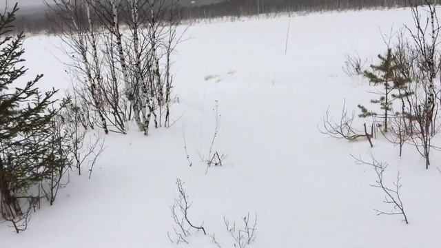 ГОРА ИРЕМЕЛЬ И ЕЕ ОКРЕСТНОСТИ. ОЗЕРО ЭНДЭ-УДЭ. смотреть онлайн