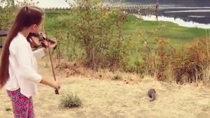 Karolina  Protsenko is playing Violin for a little Squirrel -Hallelujah Leonard Cohen
