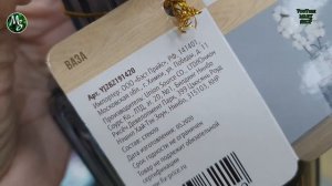 Потрясающие! новинки. в ФИКС ПРАЙС! ? АВГУСТ 2020! Посуда. Ключница. Светильник. Обзор fix price.