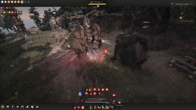 BDO. САМЫЙ ЛУЧШИЙ ГАЙД НА ТУРУ , СПОТ НА ДВОИХ  (с таймкодами)
