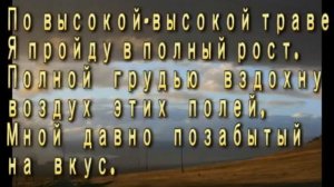 Караоке по высокой траве