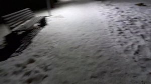 Новогодний город Сельцо в Брянской области