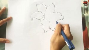 How to Draw an Orchid Flower | Easy Step by Step Orchid Drawing Tutorial for Beginners