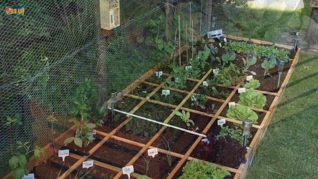 Красивые грядки своими руками / 30 идеи для огорода смотреть онлайн