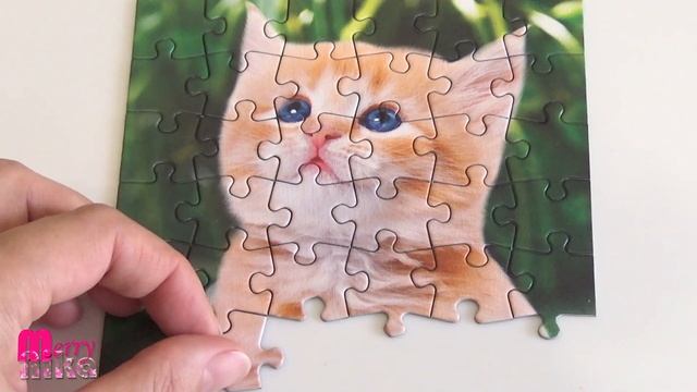 КОТЁНОК собираем пазлы для детей | Merry Nika