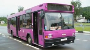 МАЗ-104. Город Шклов, Республика Беларусь. Июль 2007 год.