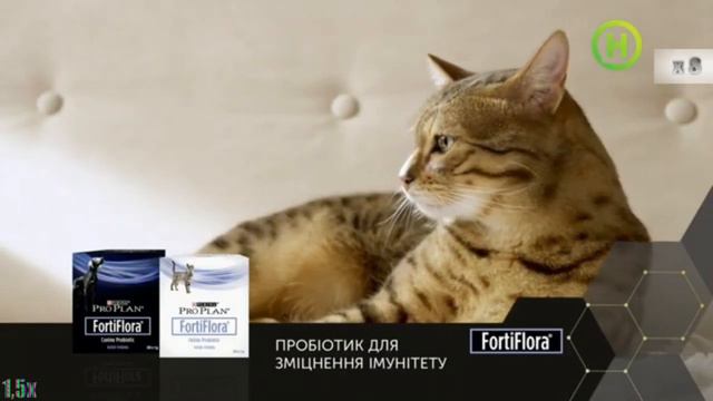 Purina Pro Plan — «Пробіотик для зміцнення імунітету» у 8х швидше | PRO Рекламу Україна смотреть онлайн