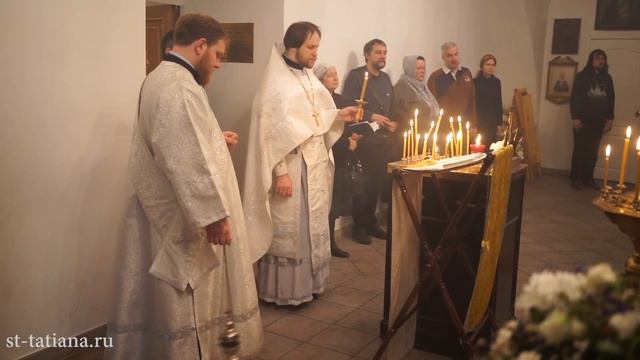 2015 год. Димитриевская родительская суббота смотреть онлайн