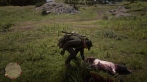 Охота на легендарных животных в Red Dead Redemption 2!