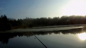 Лучшая оснастка для ловли окуня.Ловля окуня на спиннинг.Рыбалка на красивом озере.