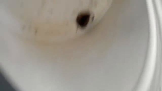 Мышка в ЗАСТРЯЛА В БИДОНЕ и пытается выбраться(посмотрите не пожалеете, видео идет всего 6 секунд) смотреть онлайн