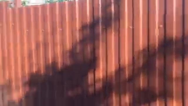 Недорогой забор из профлиста на склоне . Бюджетный забор из профнастила с уклоном в Саратове #2 смотреть онлайн