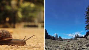 Comparative Adjectives Game | ESL Guessing Game