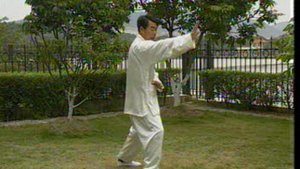 Тунбей семьи Ци - 18 техник группового боя. Ч 1