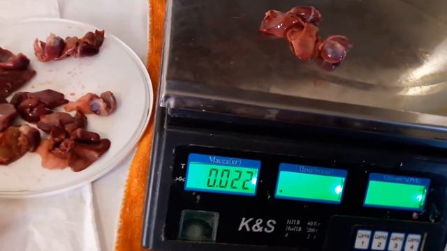 Мясо тушек перепелов 48 дней, породы Альбинос техасский. смотреть онлайн