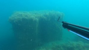 Барабулька или Карась Подводная охота на черном Море