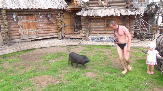 Контактный зоопарк смотреть онлайн