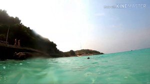 ВЛОГ С БАСИКОМ! БАСИК В ТАЙЛАНДЕ🏝