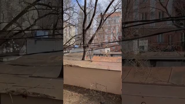 И ВСЁ РАВНО ПОКУПАЮТ #недвижимость #новостройки #москва #риелтор #квартиравмоскве⠀