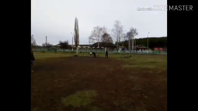 Перестрелка с "Что то около футбола" //1 часть смотреть онлайн