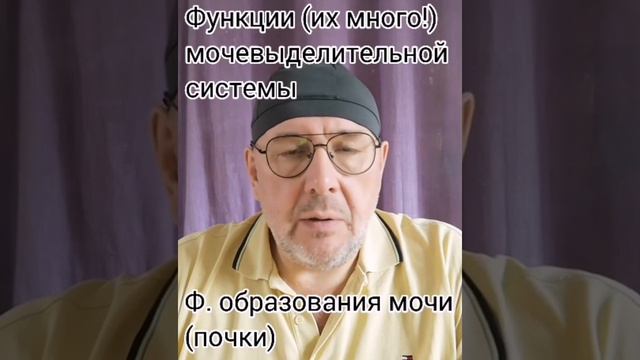 О прозе жизни: функции тазовых органов в реабилитации. Мочевыделительная система, опорожнение.