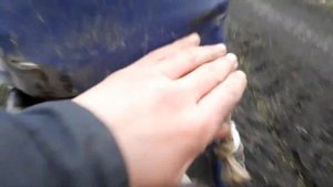 Покатушки на мопедах дельта и альфа