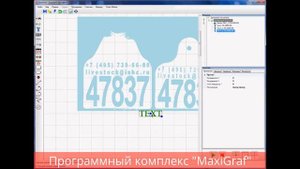 Работа в программе MaxiGraf - подготовка по шаблону макета для маркировки