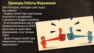 23. ФЕРОМОНЫ и СЕКСУАЛЬНОСТЬ Что Говорит Наука