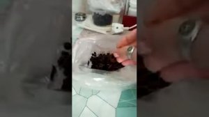 Готовим летний чай с ягодами черной смородины