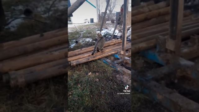 Бурим Бураевский район деревня Кушманаково21м???