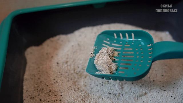 Cat Step РАСТИТЕЛЬНЫЙ И МИНЕРАЛЬНЫЙ наполнитель | РЕАЛЬНЫЙ ОБЗОР и ТЕСТ от кошки Пумы смотреть онлайн