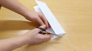 Фокус иллюзии из обычного листка бумаги. Поделка из бумаги.