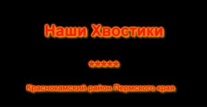 Наши Хвостики весна 2023г