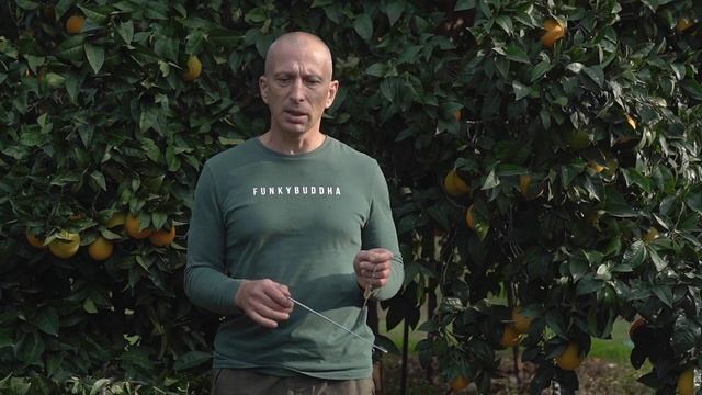 СКРЫТЫЙ ВРАГ (ПОИСК ЗОН С НЕГАТИВНОЙ ЭНЕРГИЕЙ) смотреть онлайн