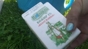 Голубика садовая обожает кефир. Угощаю голубику кефиром!