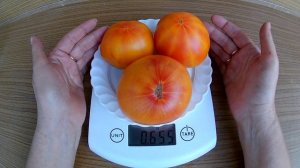 Томат, Мятный