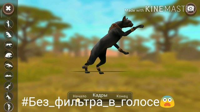 Я без фильтра в голосе + знакомства с моим хомкай🐹 смотреть онлайн