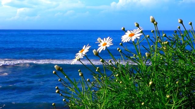 Главный праздник христианской церкви • Что о Пасхе говорит Библия • Происхождение христианской Пасх смотреть онлайн