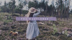 Медовый Август в лесу - honey August in the woods (Story 1)