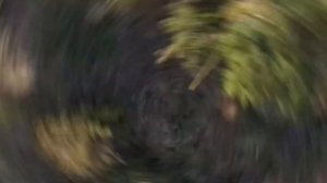 КУПОЛЬНАЯ БЕСЕДКА