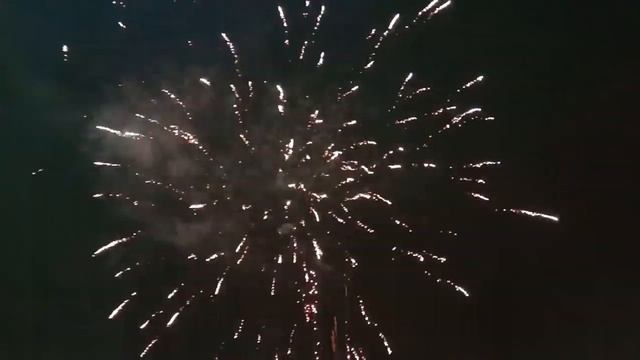 С НОВЫМ ГОДОМ РЯЗАНЬ  2020...